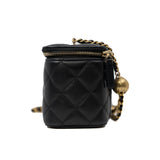 thumbnail 22B Pearl Crush Long Mirror Black Lambskin Vanity Case GHW - L'UXE LINK