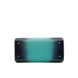 thumbnail Lady Dior Medium Blue Ombre Lizard Bag PHW - L'UXE LINK