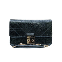 metallic cannage miss dior promenade bag PHW