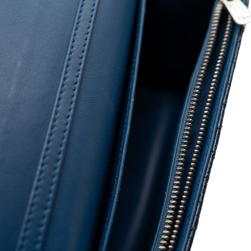 metallic cannage miss dior promenade bag PHW