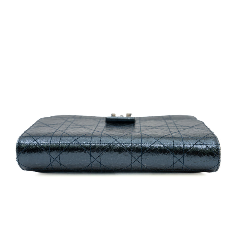 metallic cannage miss dior promenade bag PHW