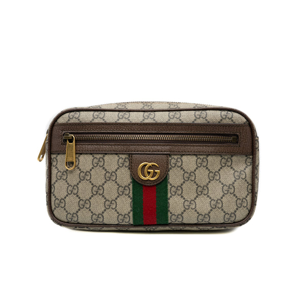 ophidia small in gg canvas ghw