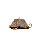 thumbnail Nano Noe in Monogram Canvas GHW