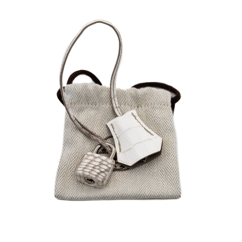 Birkin 30 in Crocodile Himalaya Stamp B Phw 2024 - L'UXE LINK