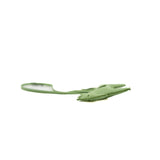 thumbnail rodeo pm charm green leather