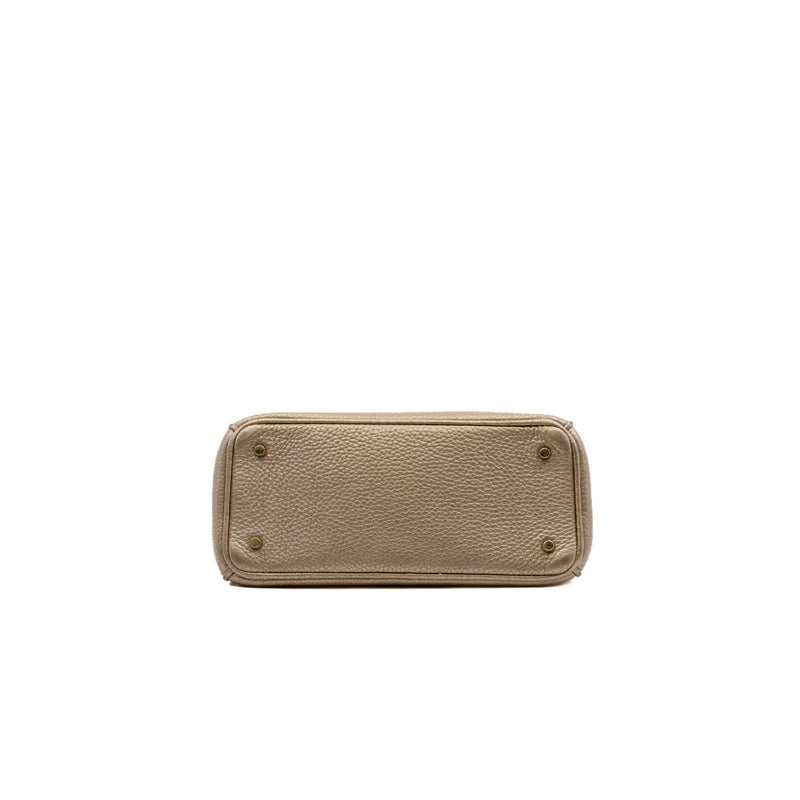 mini issimo in leather gold ghw - L'UXE LINK