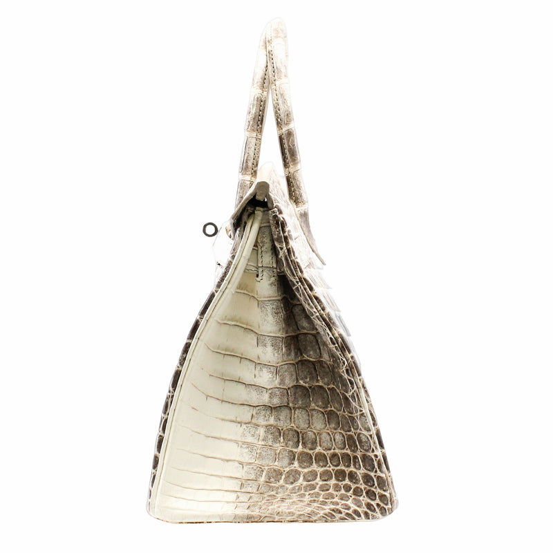 Hermes Birkin 30 Bag Diamond Himalaya Blanc Matte in Niloticus