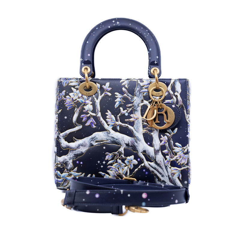 Dior moon bag best sale