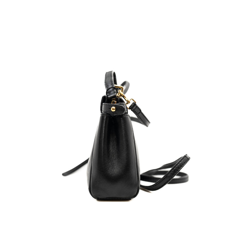 nano peekaboo in lambskin black ghw