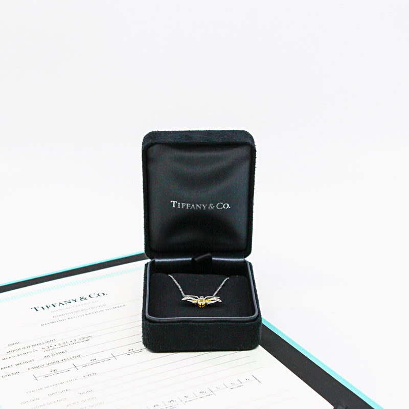 PT18Y OVAL DI.40FVY MD FIREFLY PENDANT NECKLACE - L'UXE LINK